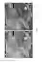 Fig. 07 - Method and apparatus for generating map data from images