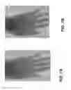 Fig. 09 - Virtual projection image method