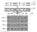 Fig. 01 - Algorithmic N search/M write ternary content addressable memory (TCAM)