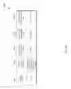 Fig. 04 - Using storlet in erasure code object storage architecture for image processing