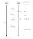 Fig. 01 - Time synchronization error compensation method for multi-hop wireless backhaul network based on PTP