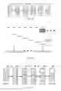 Fig. 09 - Data Packet Processing Method and Apparatus in OFDMA System, and Storage Medium