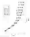 Fig. 06 - Nonlinear equalizer