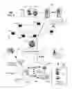 Fig. 09 - Method and apparatus for inter-carrier communications