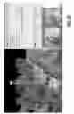 Fig. 15 - Virtual 360-degree view of a telecommunications site