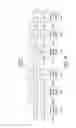 Fig. 06 - Video transmission system