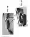 Fig. 06 - Hands-Free Headset For Use With Mobile Communication Device