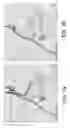 Fig. 08 - TRAVEL AND ACTIVITY CAPTURING