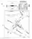 Fig. 06 - Vehicle occupant position determination