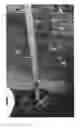 Fig. 02 - Acer palmatum tree named 'Chacer01'