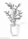 Fig. 01 - Devices and Methods for Illuminating Plants