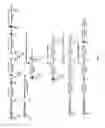 Fig. 05 - Non-human animals expressing pH-sensitive immunoglobulin sequences