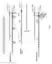 Fig. 09 - Non-human animals expressing pH-sensitive immunoglobulin sequences