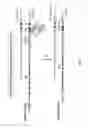 Fig. 11 - Non-human animals expressing pH-sensitive immunoglobulin sequences