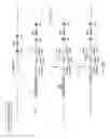 Fig. 46 - Non-human animals expressing pH-sensitive immunoglobulin sequences