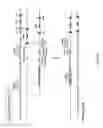 Fig. 47 - Non-human animals expressing pH-sensitive immunoglobulin sequences