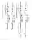 Fig. 56 - Non-human animals expressing pH-sensitive immunoglobulin sequences