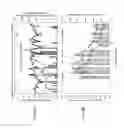 Fig. 07 - METHODS AND APPARATUS FOR SURVEILLANCE AND CONTROL OF INSECT VECTORS
