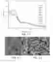 Fig. 02 - Photochemical cross-linkable polymers, methods of making photochemical cross-linkable polymers, methods of using photochemical cross-linkable polymers, and methods of making articles containing photochemical cross-linkable polymers