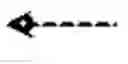 Fig. 02 - COMPOSITIONS AND METHODS FOR IMPROVING AGRONOMIC CHARACTERISTICS OF PLANTS