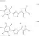 Fig. 28 - COMPOSITIONS AND METHODS FOR IMPROVING AGRONOMIC CHARACTERISTICS OF PLANTS