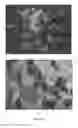 Fig. 136 - Continuous methods for treating liquids and manufacturing certain constituents (e.g., nanoparticles) in liquids, apparatuses and nanoparticles and nanoparticle/liquid solution(s) resulting therefrom