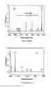 Fig. 216 - Continuous methods for treating liquids and manufacturing certain constituents (e.g., nanoparticles) in liquids, apparatuses and nanoparticles and nanoparticle/liquid solution(s) resulting therefrom