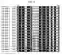 Fig. 07 - Insecticidal proteins and methods for their use