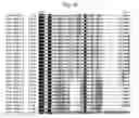 Fig. 22 - Insecticidal proteins and methods for their use