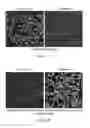Fig. 02 - Mixotrophic chlorella-based composition, and methods of its preparation and application to plants