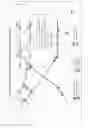 Fig. 08 - USE OF ENZYMATICALLY HYDROLYZED VEGETABLE PROTEIN IN BREWING FERMENTED BEVERAGES