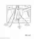 Fig. 33 - PEPPER DE-STEMMING METHODS AND APPARATUS