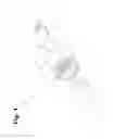 Fig. 02 - Smoking pen