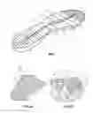 Fig. 02 - Sole For Footwear