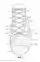 Fig. 07 - Shoe upper having multiple weld zones