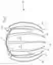 Fig. 06 - Mountable volume hair comb