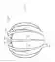 Fig. 07 - Mountable volume hair comb