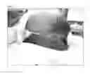 Fig. 07 - Method of Detecting Potential Deep Tissue Injury