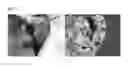 Fig. 12 - Method of Detecting Potential Deep Tissue Injury