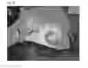 Fig. 33 - Method of Detecting Potential Deep Tissue Injury