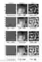 Fig. 41 - Catheter systems and related methods for mapping, minimizing, and treating cardiac fibrillation