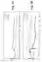 Fig. 04 - Electrochemical sensor having symmetrically distributed analyte sensitive areas