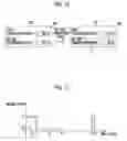 Fig. 09 - Mammography apparatus, control device, Mammography apparatus control method, and mammography apparatus control program