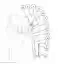 Fig. 01 - Support device mountable to the pelvic bone