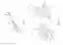 Fig. 07 - Tissue ingrowth materials and method of using the same