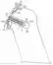 Fig. 01 - SURGICAL SCREW AND METHOD OF PERFORMING LIGAMENT RECONSTRUCTION USING SAID SCREW