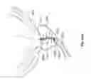 Fig. 92 - Catheter with a double balloon structure to generate and apply a heated ablative zone to tissue