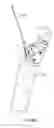 Fig. 96 - Catheter with a double balloon structure to generate and apply a heated ablative zone to tissue