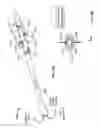 Fig. 98 - Catheter with a double balloon structure to generate and apply a heated ablative zone to tissue