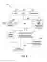 Fig. 09 - Catheter system and electrode assembly for intraprocedural evaluation of renal denervation